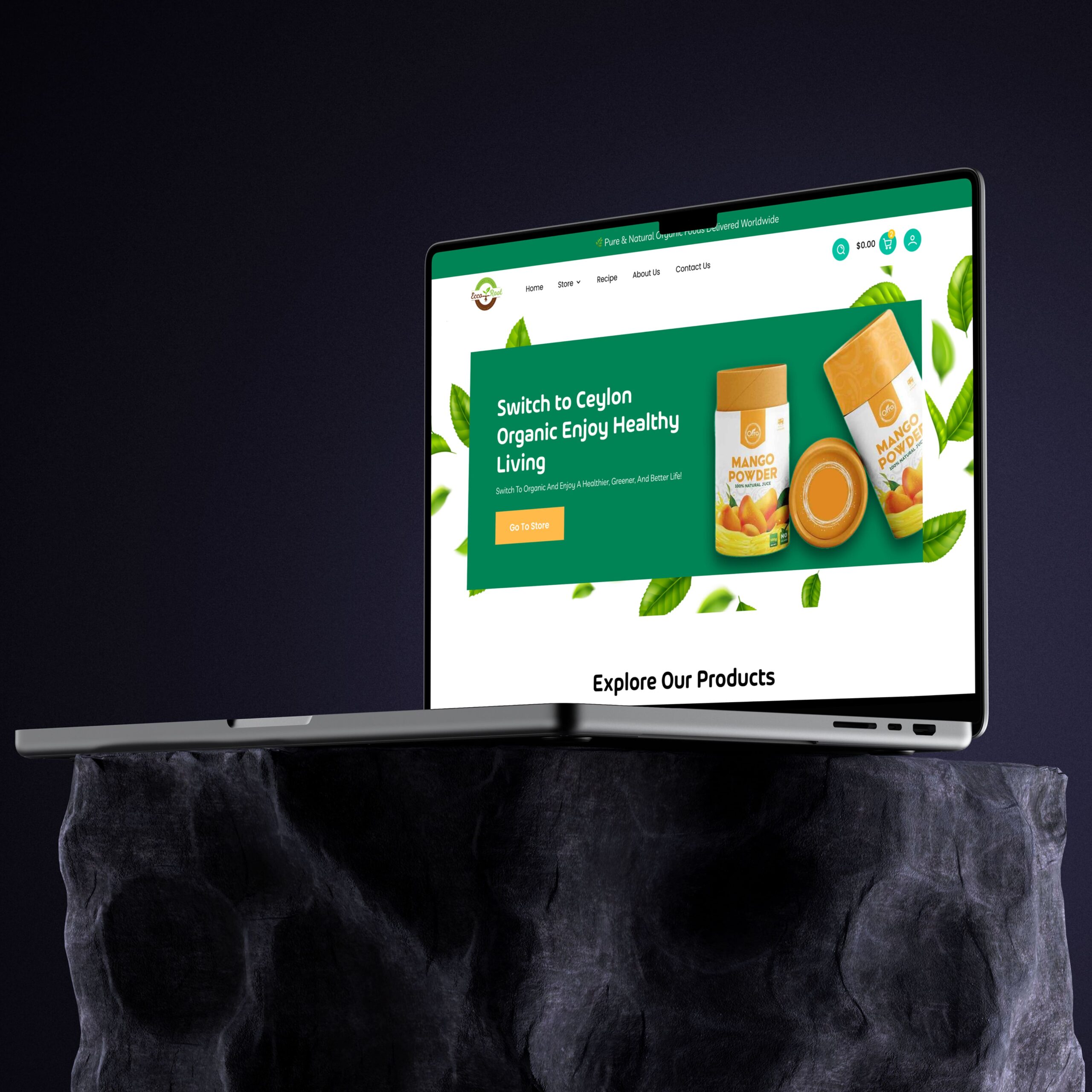 E commerce website